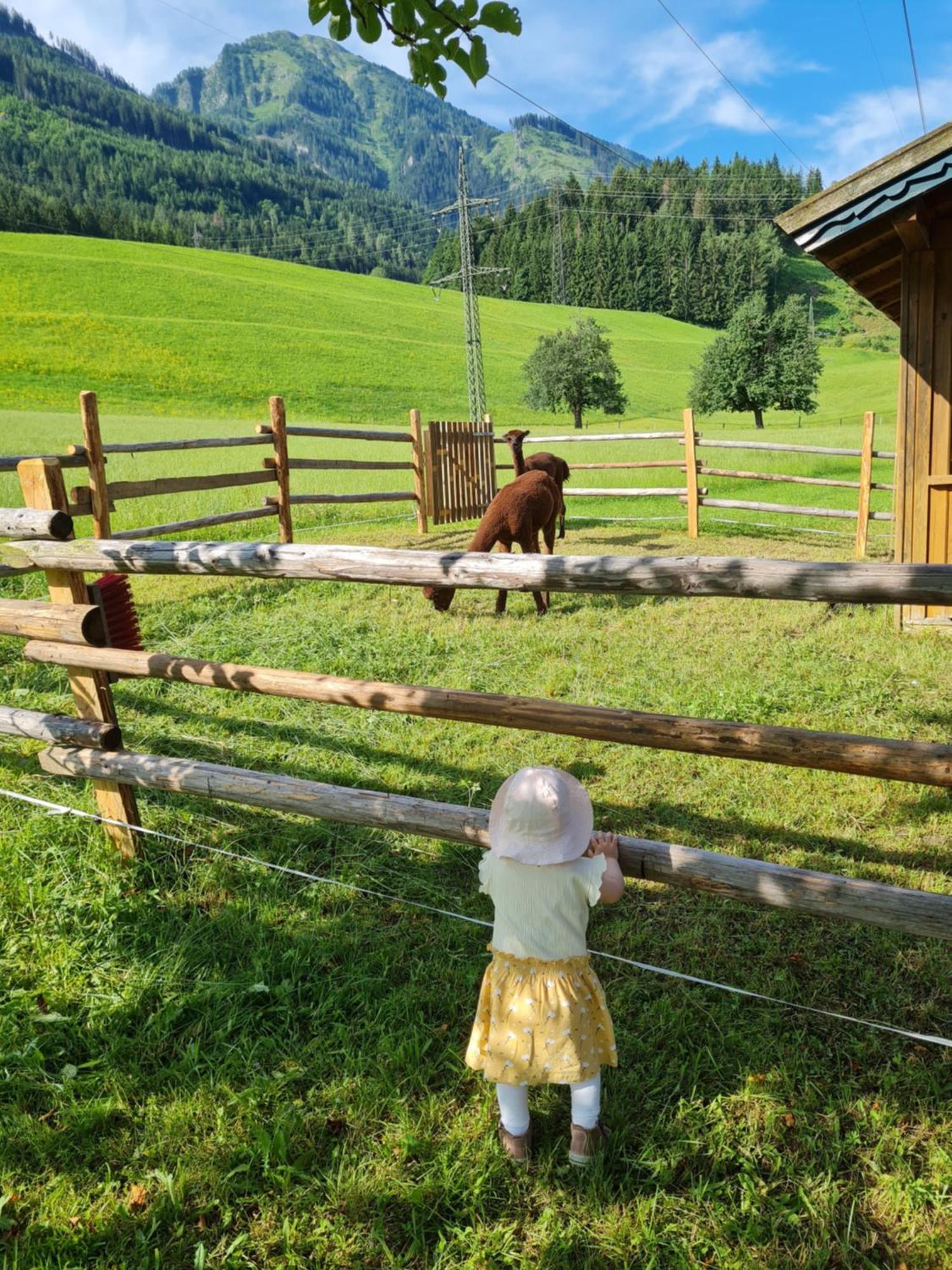 Ferienparadies Taxen Санкт-Файт-ім-Понґау Екстер'єр фото