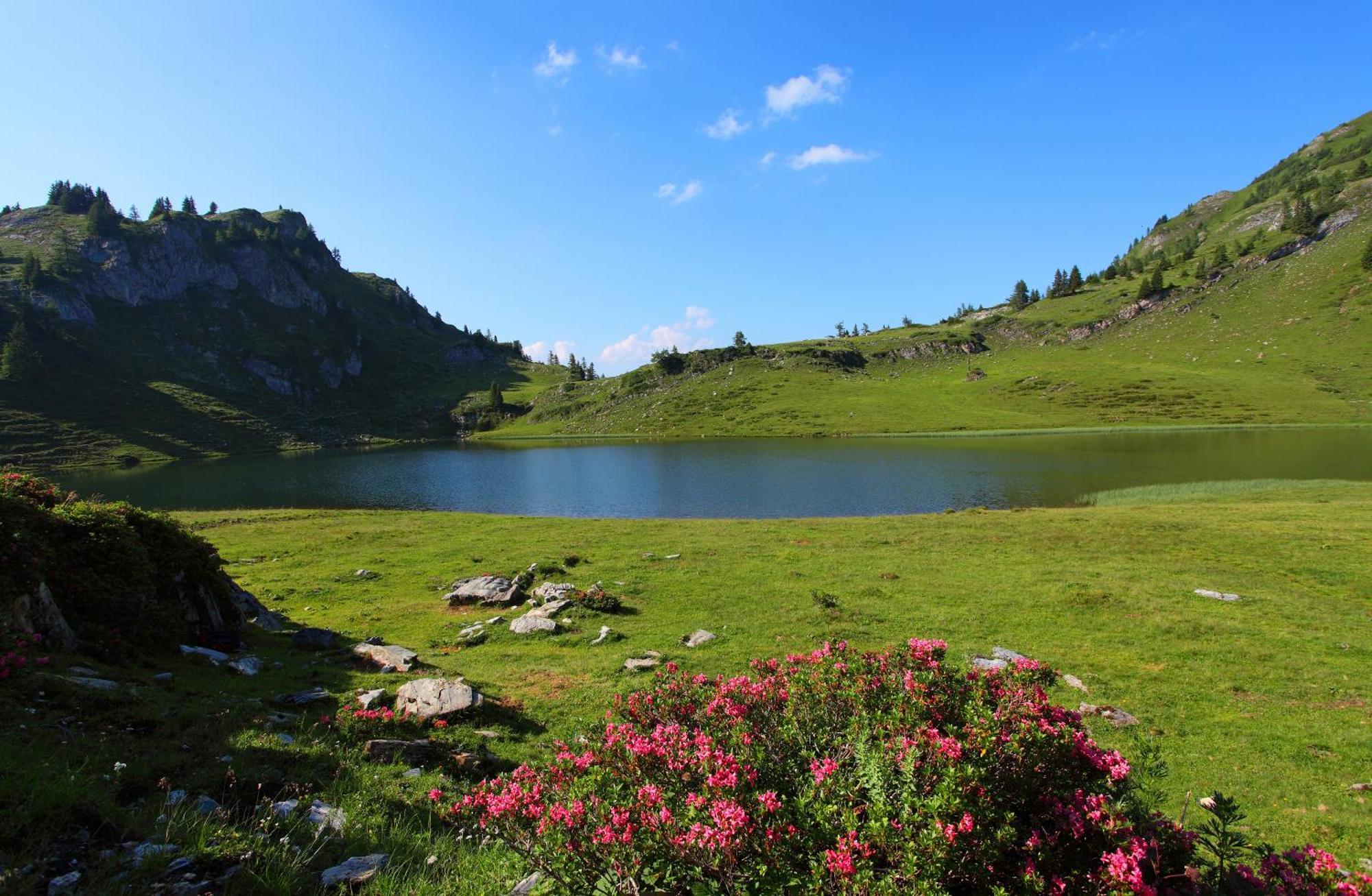 Ferienparadies Taxen Санкт-Файт-ім-Понґау Екстер'єр фото